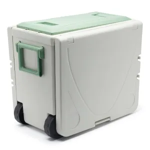 COOLER BOX WITH TABLE AND CHAIR (MINT & WHITE)