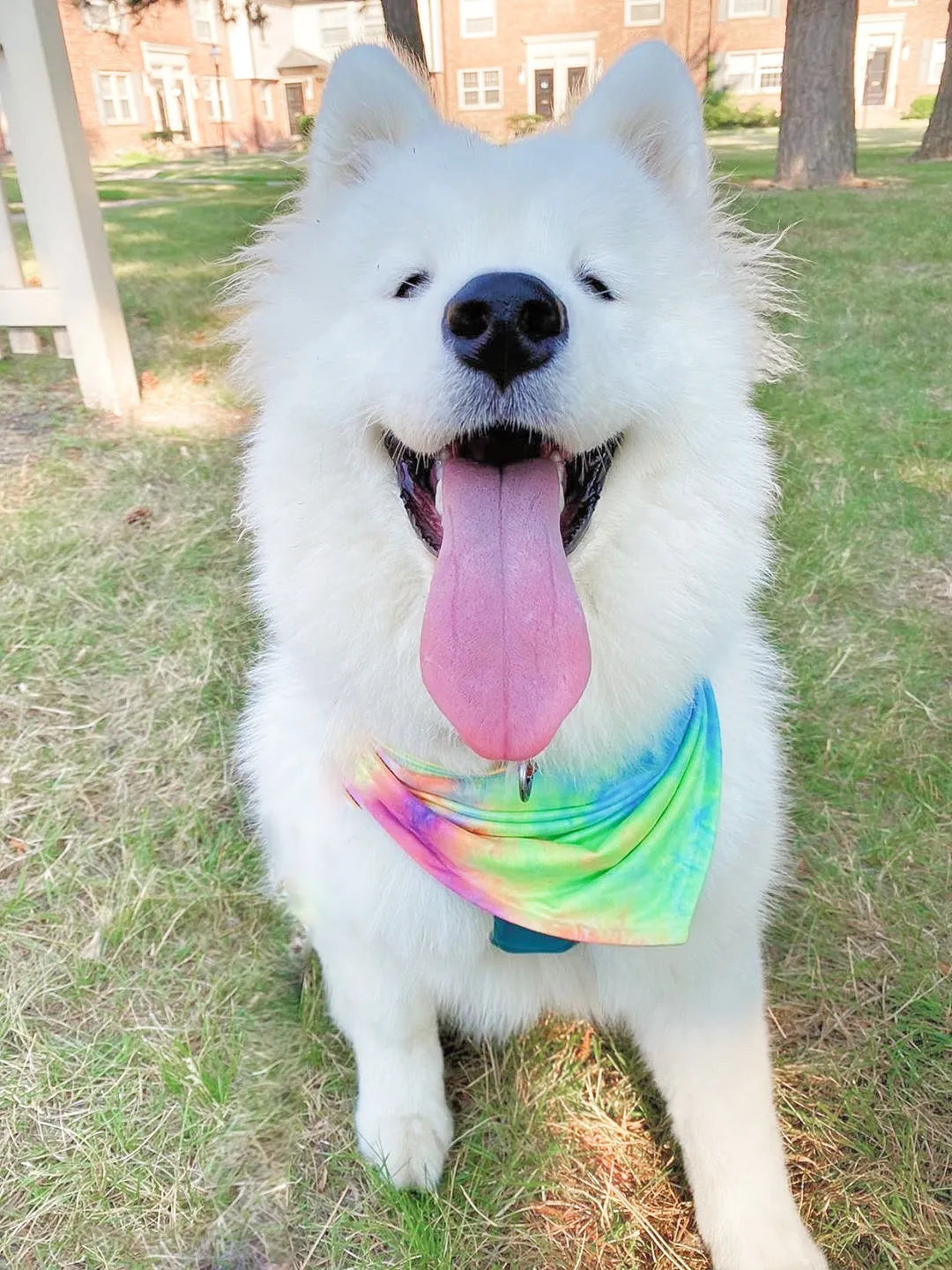 Electric Feel Bandana