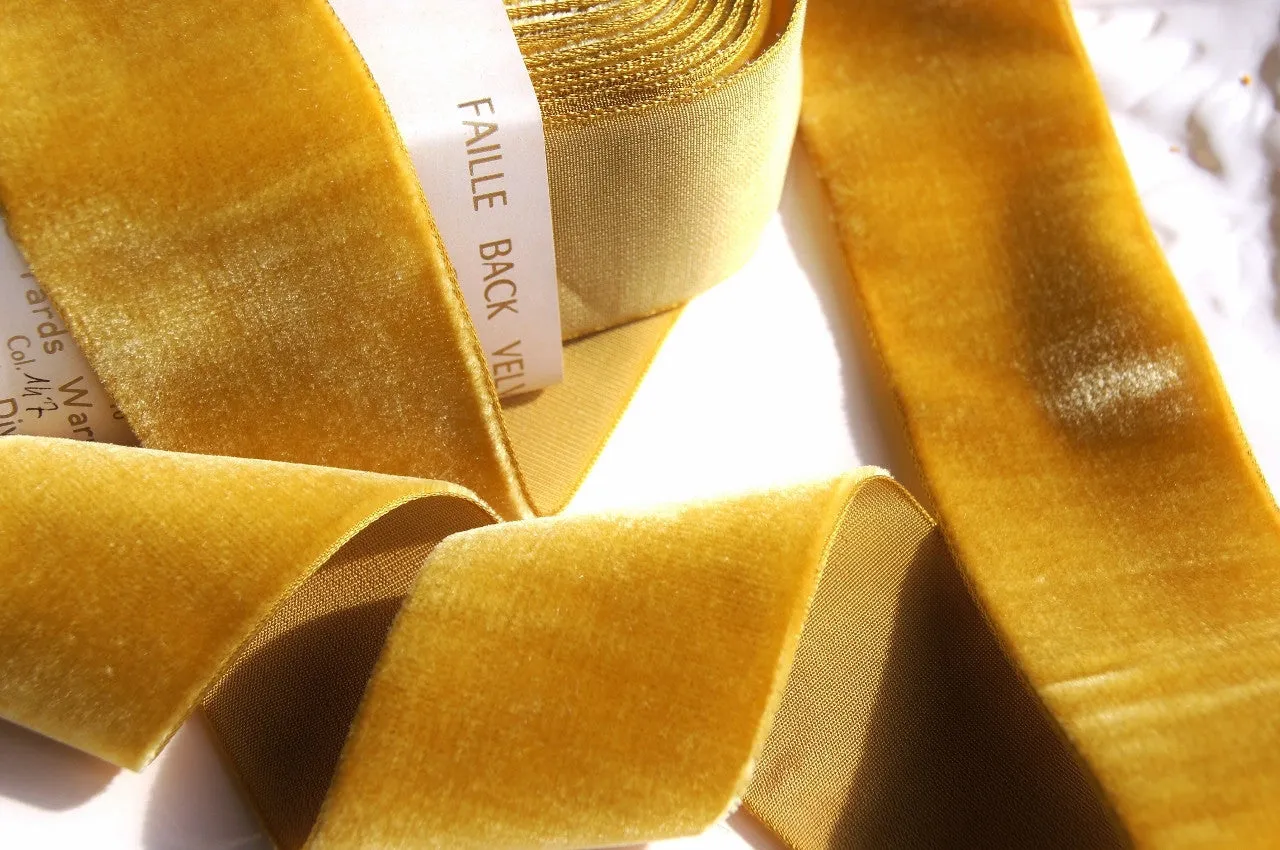 Gold Velvet Ribbon Vintage from France 48mm
