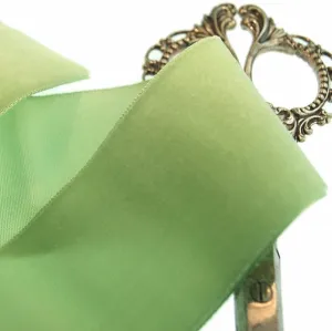 Light Lime Velvet Ribbon Vintage from France 50mm
