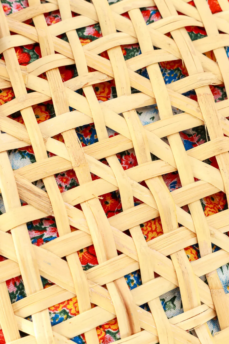 Woven Strawberry Picnic Bag